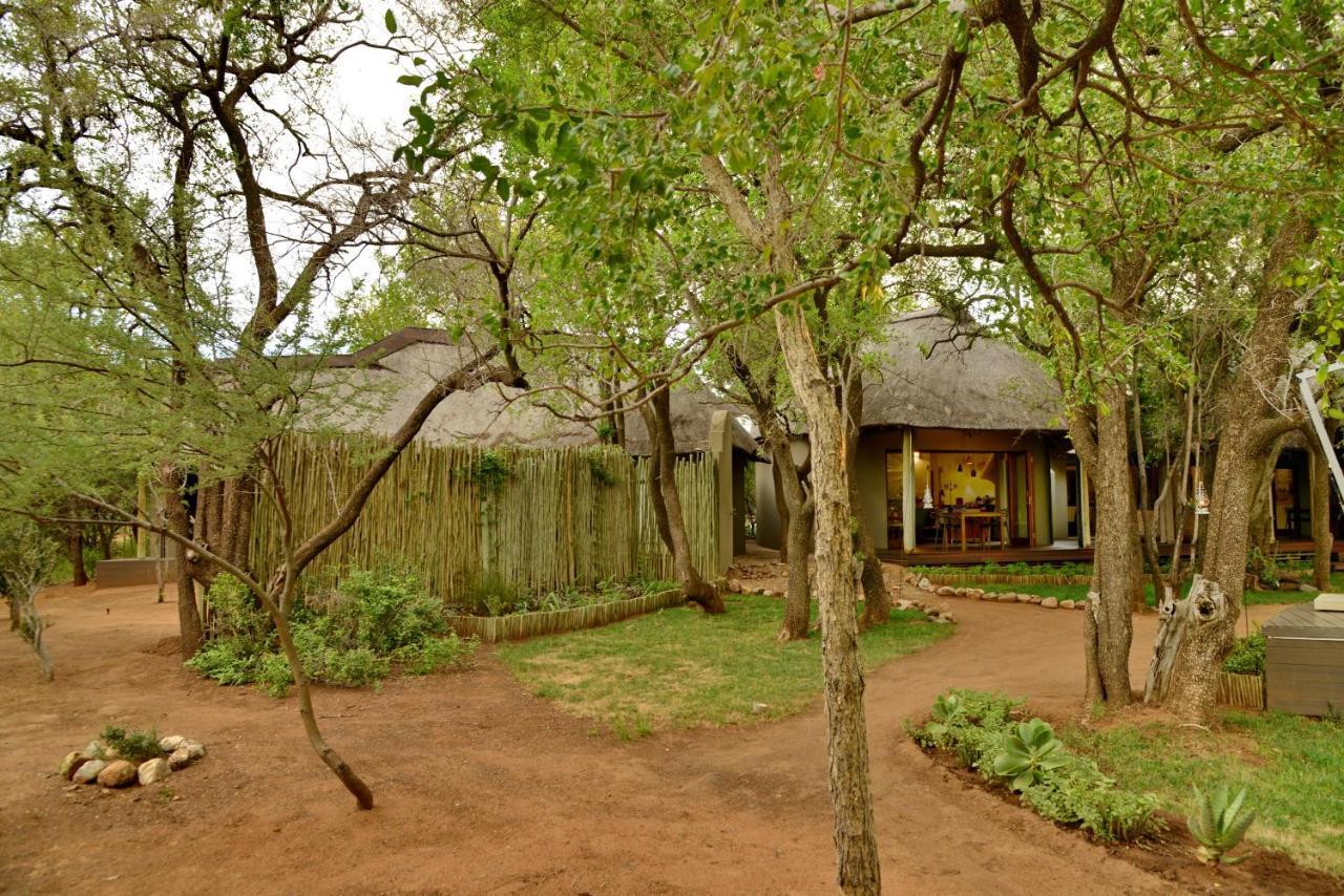 Tambuti Lodge ピラネスバーグ エクステリア 写真